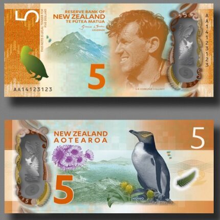 Buy 5 NZD bills online