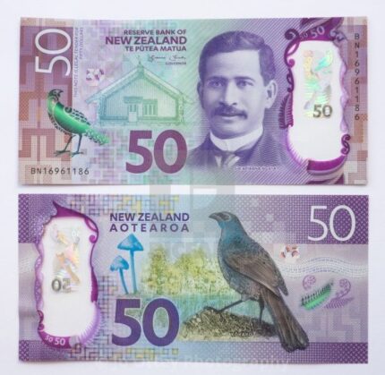 Buy 50 NZD Bills Online