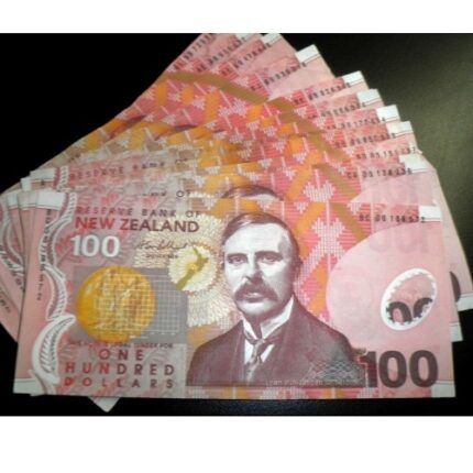 Buy 100 NZD Bills Online
